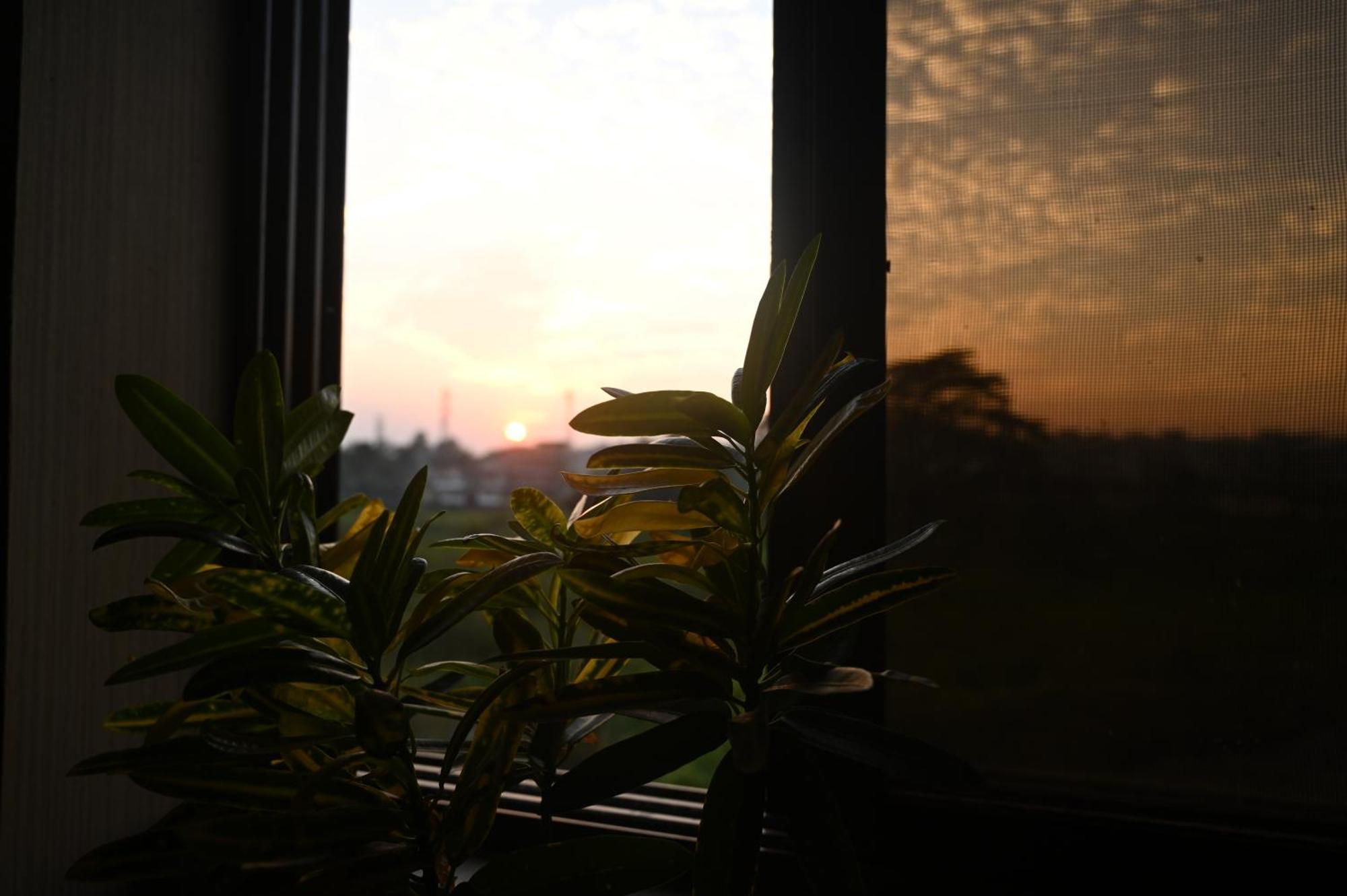 The Cabin By The Bayou Bed and Breakfast Guwahati Exteriör bild